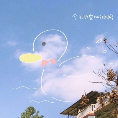 江南足球appapp下载