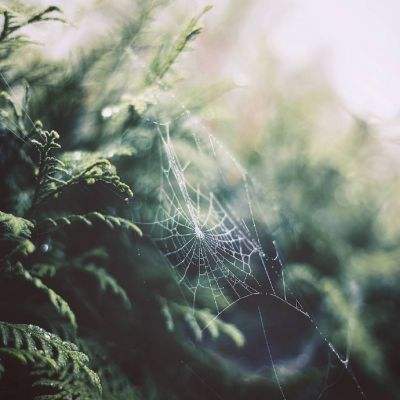 乐鱼官网手机版