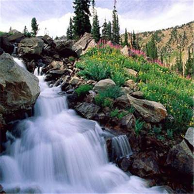 皇冠正规娱乐平台下载手机版